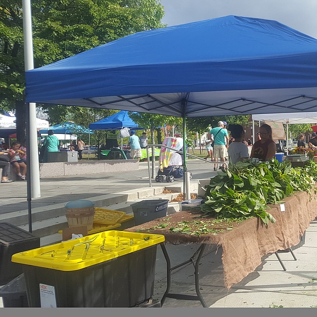 East Boston Farmer's Market