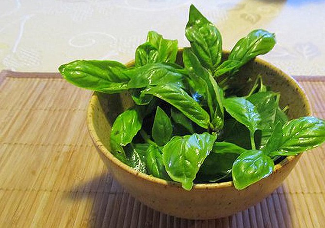 ¿Quieres disminuir el estrés? Estas plantas pueden ayudarte