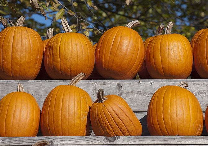 Cinco cosas para disfrutar del otoño