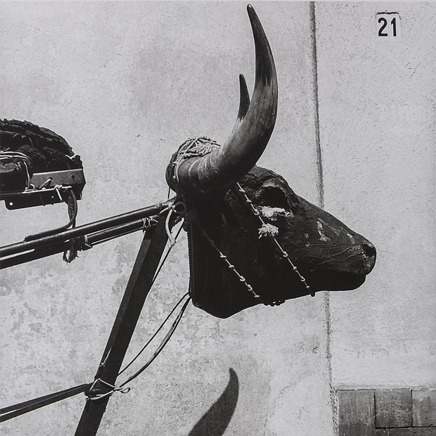 Little Bull, Coyoacán, Mexico City / Torito, Coyoacán, Ciudad de México, 1982
Graciela Iturbide (Mexican, born in 1942)
Photograph, gelatin silver print
*Col. Galería López Quiroga
*© Graciela Iturbide
*Courtesy, Museum of Fine Arts, Boston