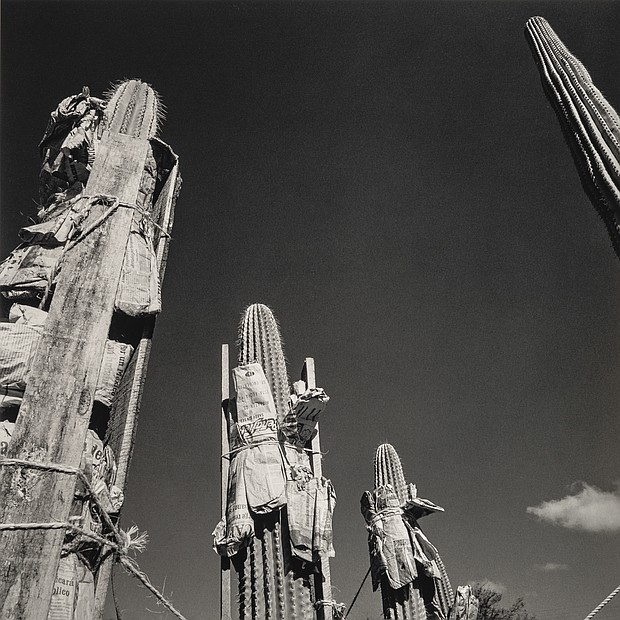 Botanical Garden / Jardín Botánico, Oaxaca, México, 1998-1999
Graciela Iturbide (Mexican, born in 1942)
Photograph, gelatin silver print
*Museum purchase with funds donated by John and Cynthia Reed, Charles H. Bayley Picture and Painting Fund, Barbara M.
Marshall Fund, Lucy Dalbiac Luard Fund, Horace W. Goldsmith Foundation Fund for Photography, Francis Welch Fund, and Jane
M. Rabb Fund for Film and Photography
*© Graciela Iturbide
*Courtesy, Museum of Fine Arts, Boston