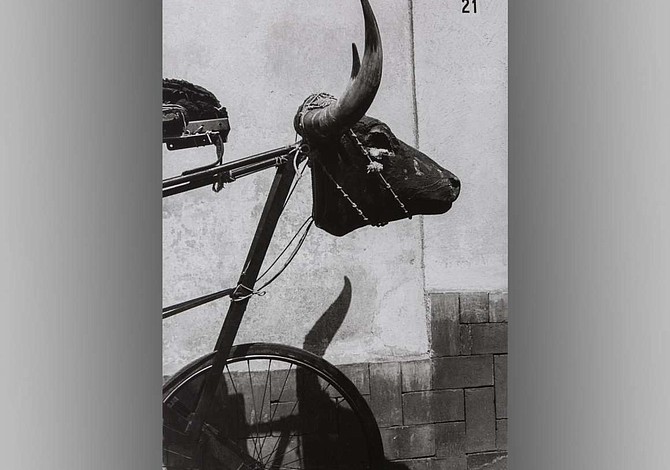 MFA presenta la primera exposición en la Costa Este de las fotografías de Graciela Iturbide