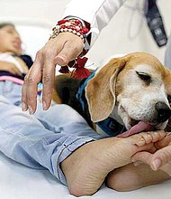 AYUDA. Un perro lame los pies de una paciente durante su consulta en el área de Cuidados Paleativos del Hospital Civil de Guadalajara.
