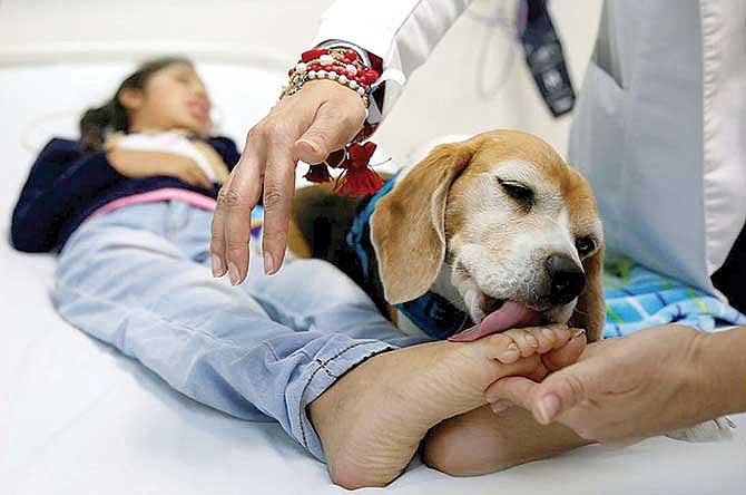 AYUDA. Un perro lame los pies de una paciente durante su consulta en el área de Cuidados Paleativos del Hospital Civil de Guadalajara.