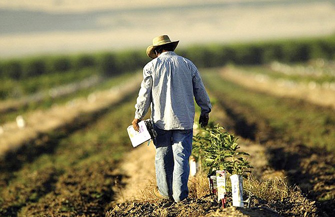 Cambio climático está matando a trabajadores agrícolas