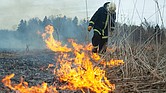 Más de 850 incendios forestales están activos