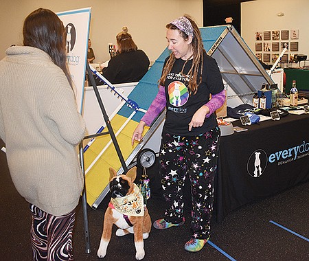 Every Dog ofrece entrenamiento canino a la comunidad de Austin. Además, tiene acuerdos con otras organizaciones locales que ofrecen diversos servicios para perros.