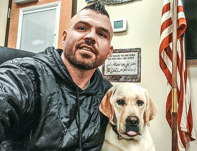 Veteranos pueden recibir un perro-de-servicio