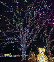 En su edición 59, el Austin Trail of Lights despliega más de dos millones de luces, 96 árboles y más de 70 exhibiciones y túneles iluminados.