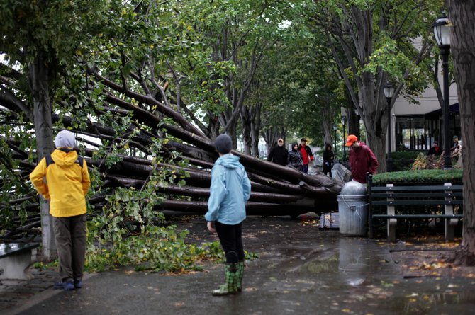 Miles de árboles caídos en la región a causa de Sandy, como éste en Manhattan. AP