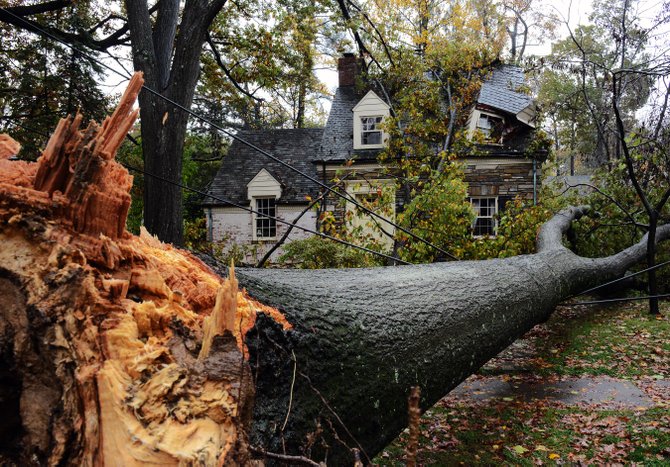 En Washington DC, un árbol cayó en una avenida principal. TWP