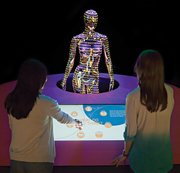 CUERPO. Cada ser humano posee una identidad genética única.