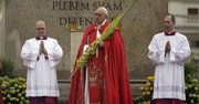 El Papa Francisco durante las ceremonias del Domingo de Ramos