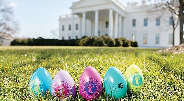 Conejo y huevos, tradición en la Pascua_ primavera alrededor del mundo