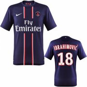 6. ZLATAN IBRAHIMOVIC (PARIS SAINT-GERMAIN)