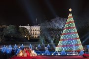 El árbol de Navidad enfrente de la Casa Blanca en Washington, DC, Estados Unidos.