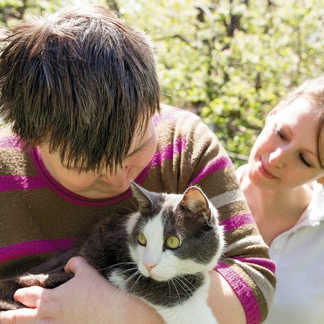 Gatos para la salud