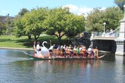 Swan Boats en el Boston Public Garden