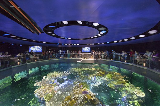 New England Aquarium