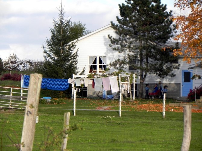 Niños amish juegan en los alrededores de una casa de miembros de la comunidad en New Wilmington, al oeste del estado de Pennsylvania.