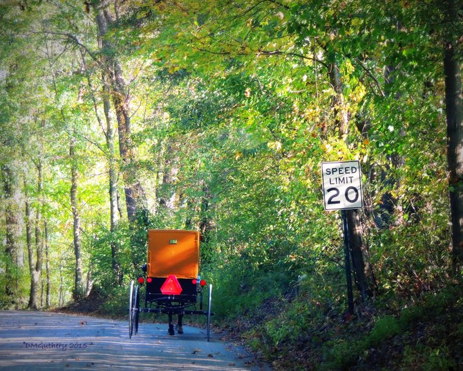 Los amish se trasladan en carretas tiradas por caballos en las áreas rurales cercanas a New Wilmington, PA.