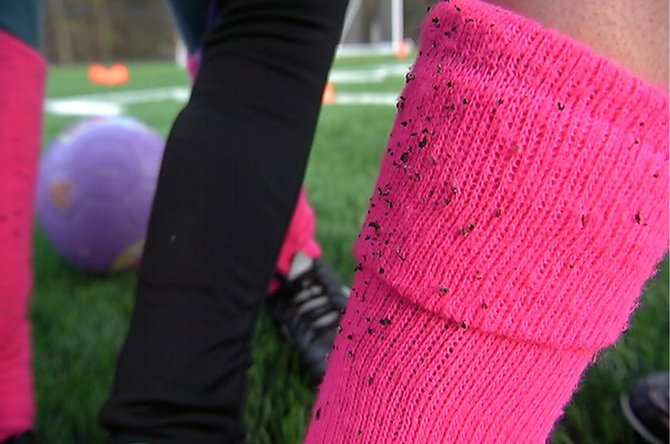 Los calcetines de una joven jugadora de fútbol de Medway con partículas de gránulos de caucho de la cancha de grama sintética de Medway High School. Los gránulos del tamaño de una hormiga actúan como tierra artificial para el césped artificial y se convierten en parte de la vida cotidiana de familias con niños que juegan en canchas artificiales – aparecen en bolsas, zapatos y hasta en la lavandería de la casa.