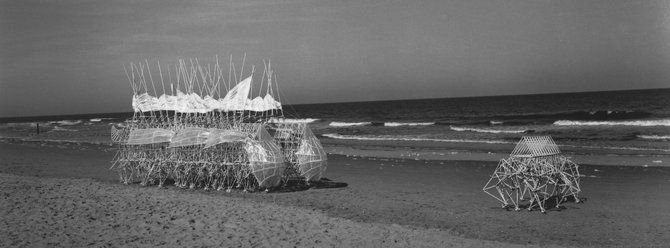 Animaris Siamesis y Animaris Ordis, Scheveningen beach, Holanda (2010). Foto: Lena Herzog