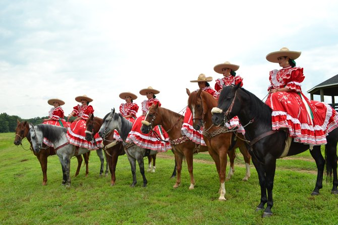 Las Amazonas de El Dorado con sus caballos que llevan por nombre como "Coyote", "Ratón", "Diamante", "Zaino", "Payaso", "Bonito" y "Coche". 