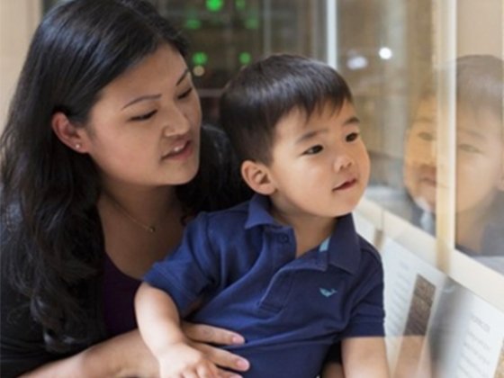 Family Art Walks: Este tour es para niños y adultos, y dará un paseo con explicaciones por los diferentes peinados extravagantes de la exposición. Saldrá cada quince minutos entre las 10:30 am y las 11:45 am. El punto de encuentro es el Sharf Visitor Center.