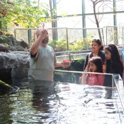 Un trabajador del museo explica a visitantes el proceso para alimentar los peces.
