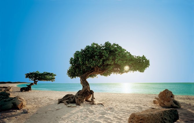 En Aruba están algunas de las mejores playas del mundo