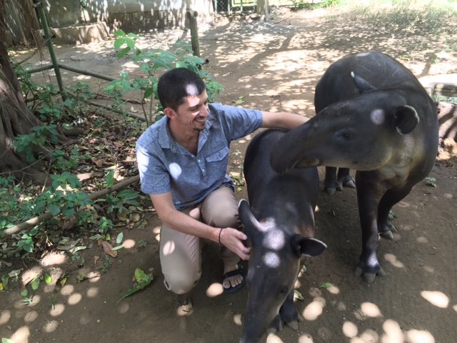 El investigador Chris Jordan con un tapir salvaje en Nicaragua
