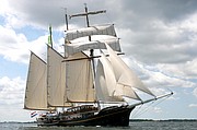 Barco Gulden Leeuw