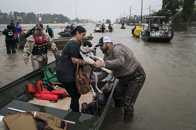 Un perro es ayudado en un bote después de ser rescatado en Houston.