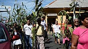FELIGRESES. Cargando una planta de maíz los feligreses desfilaron dando gracias a Dios por las cosechas.