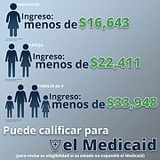 Usted es elegible para recibir subsidios para reducir las primas, pero no las reducciones de costos compartidos.