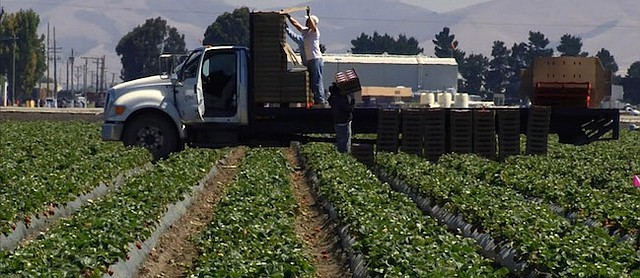 El Proyecto Salinas: La historia de dos refugiados guatemaltecos que salieron de la Península de Yucatán y llegaron caminando al estado de Campeche, México.