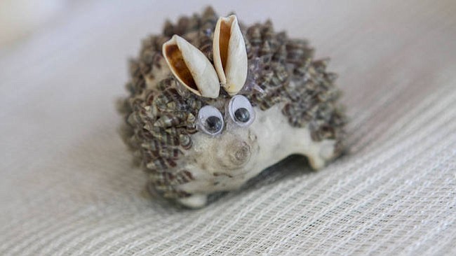 TASAJERA. Cusuco o armadillo hecho una artesanía.