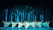 Ballet Nacional de Cuba: Don Quijote / Giselle