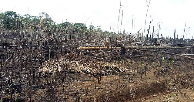 COLOMBIA. Guaviare, tierra de nadie