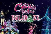 Foto: Cirque Dreams Holidaze Facebook