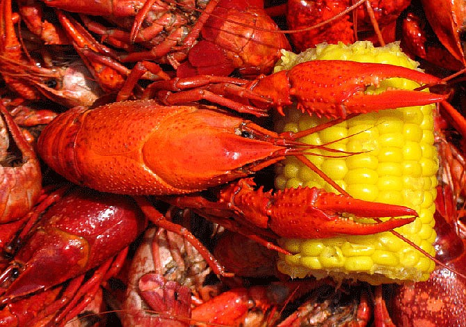 A degustar deliciosos cangrejos de Louisiana