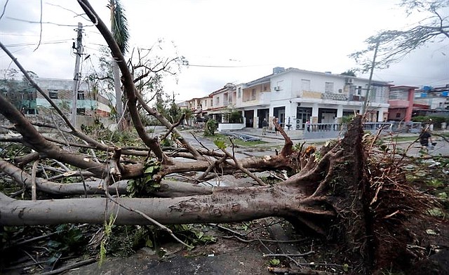 Fotografía de árboles caídos tras el paso de un tornado, el lunes, en La Habana