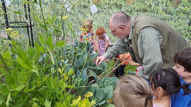 NATURALEZA. Durante los campamentos de verano hay tiempo para aprender sobre las plantas y la fauna que vive en los jardines durante los meses más cálidos del año.