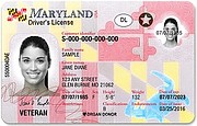 DOCUMENTO. Las licencias del Real ID tienen una bandera y estrella en la parte derecha superior.
