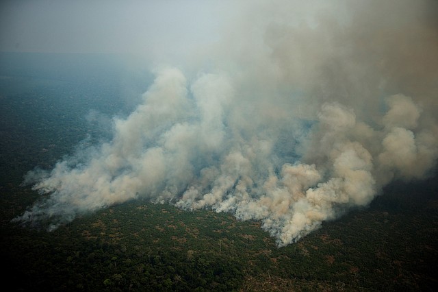 AMAZONÍA. Vista aérea de varias columnas de humo, el viernes 23 de agosto, en la selva amazónica de Porto Velho, Rondonia. La escasa visibilidad dificulta el tráfico aéreo y la magnitud de los incendios desprendía una humareda que llegaba a unos 800 metros de altura. | Foto: Efe/Joédson Alves