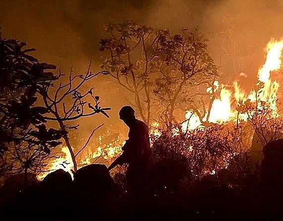 AMAZONÍA. Fotografía fechada del 21 de agosto de 2019, facilitada por los Bomberos del Estado amazónico de Pará, combatiendo un incendio en la región de Santarém, Brasil.