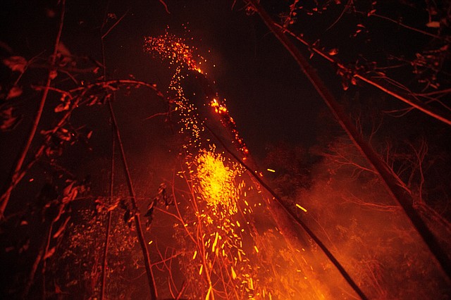 AMAZONÍA. A unos 150 kilómetros de Porto Velho, la capital regional del amazónico estado de Rondonia, una considerable parte de tierra arde de manera ininterrumpida hace más de 24 horas y ya ha consumido más de cinco kilómetros del terreno. | Foto Efe/Joédson Alves