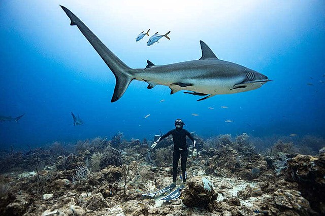 Salvadoreño destaca en el buceo libre. Marco Guirola logró el primer récord del país en la disciplina. | Foto cortesía.