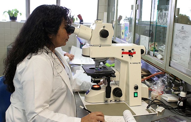 FACTIBILIDAD. El gobierno deberá ampliar los fondos y recursos para poder tomar cientos de muestras de ADN. | Imagen de referencia de Pixabay.